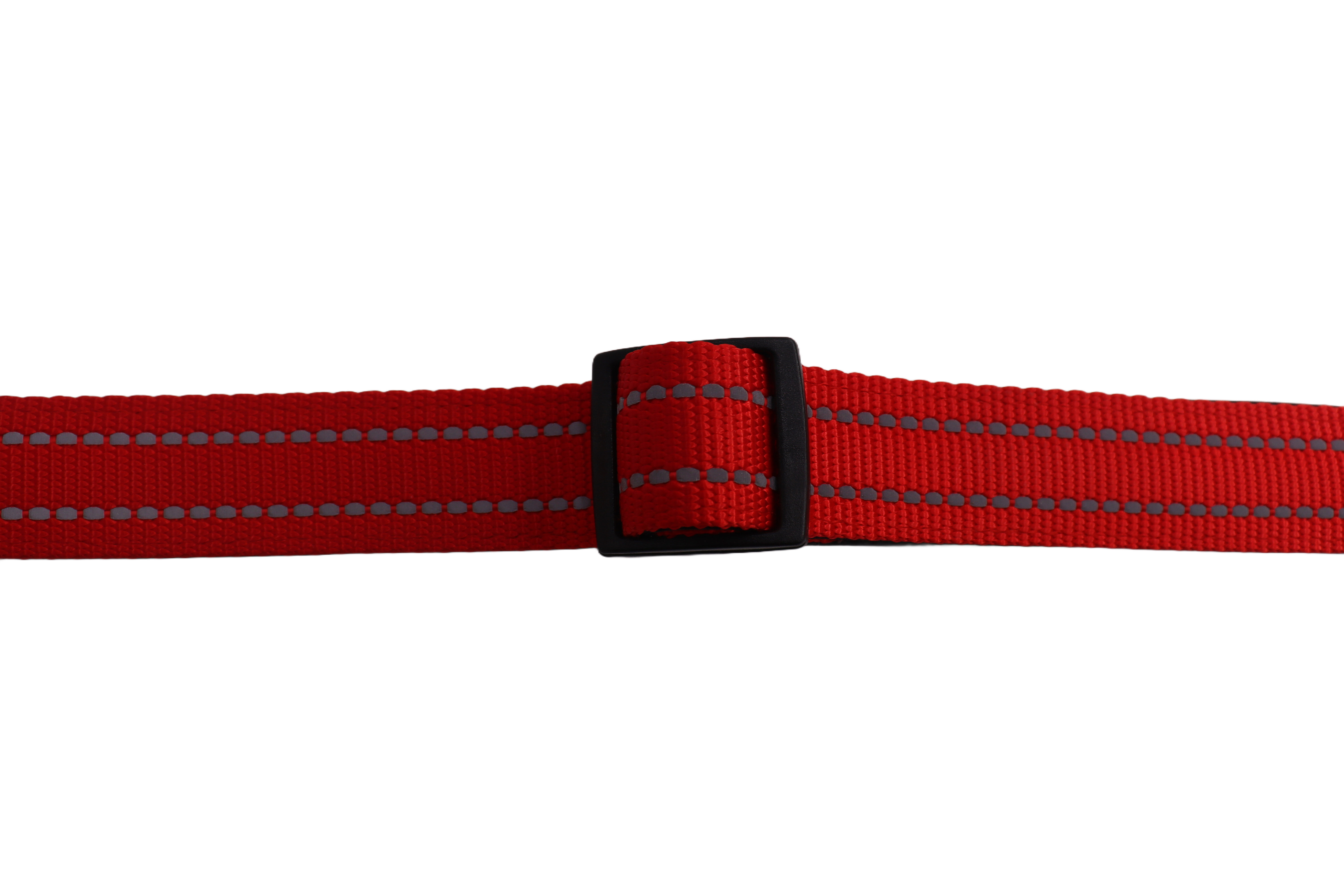 Gotoo - Collier Essentials en Nylon Premium Rouge pour Chien - XS Image num&eacute;ro 3