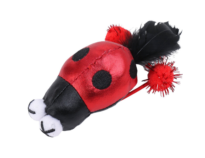 Wouapy - Jouet Chat Disco Coccinelle Image numéro 1 Wouapy - Jouet Chat Disco Coccinelle Image numéro 1