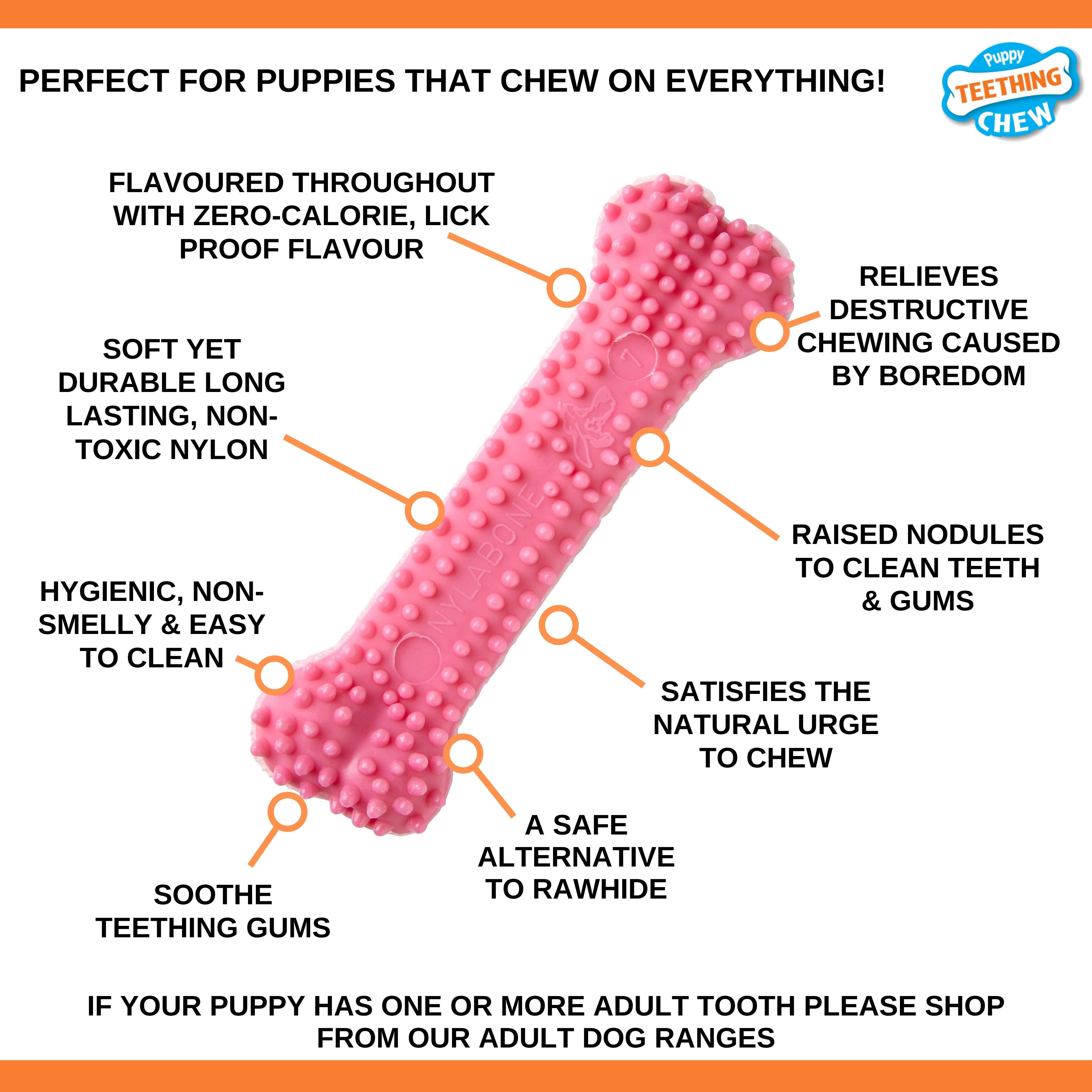 Nylabone - Jouet &agrave; M&acirc;cher Puppy Dental Bone XS - Rose Image num&eacute;ro 4