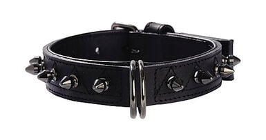 Bobby - Collier Pretty Vert pour Chiens