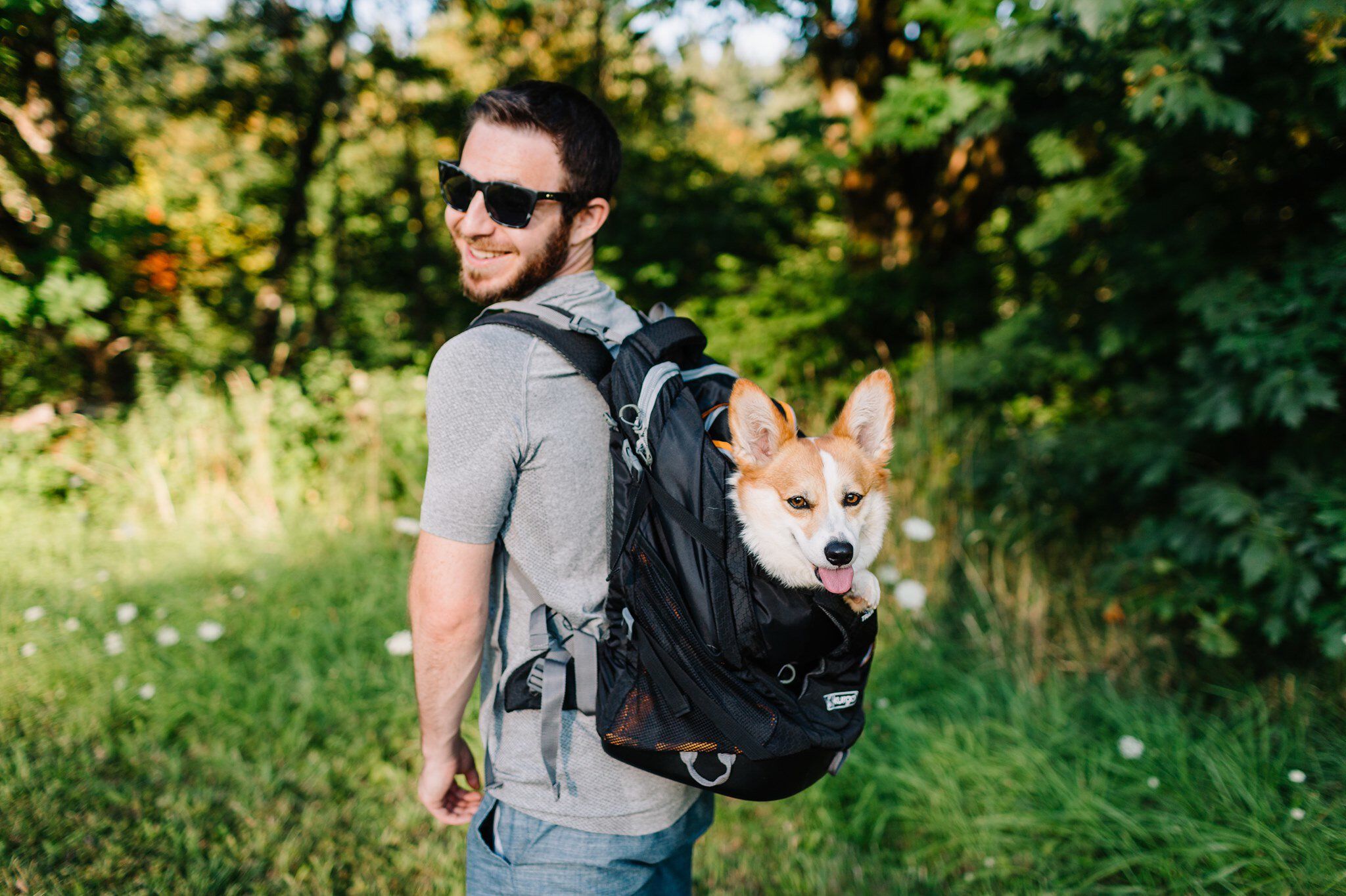 Kurgo - Sac A Dos Gtrain K9 pour Chiens - Noir Image num&eacute;ro 3
