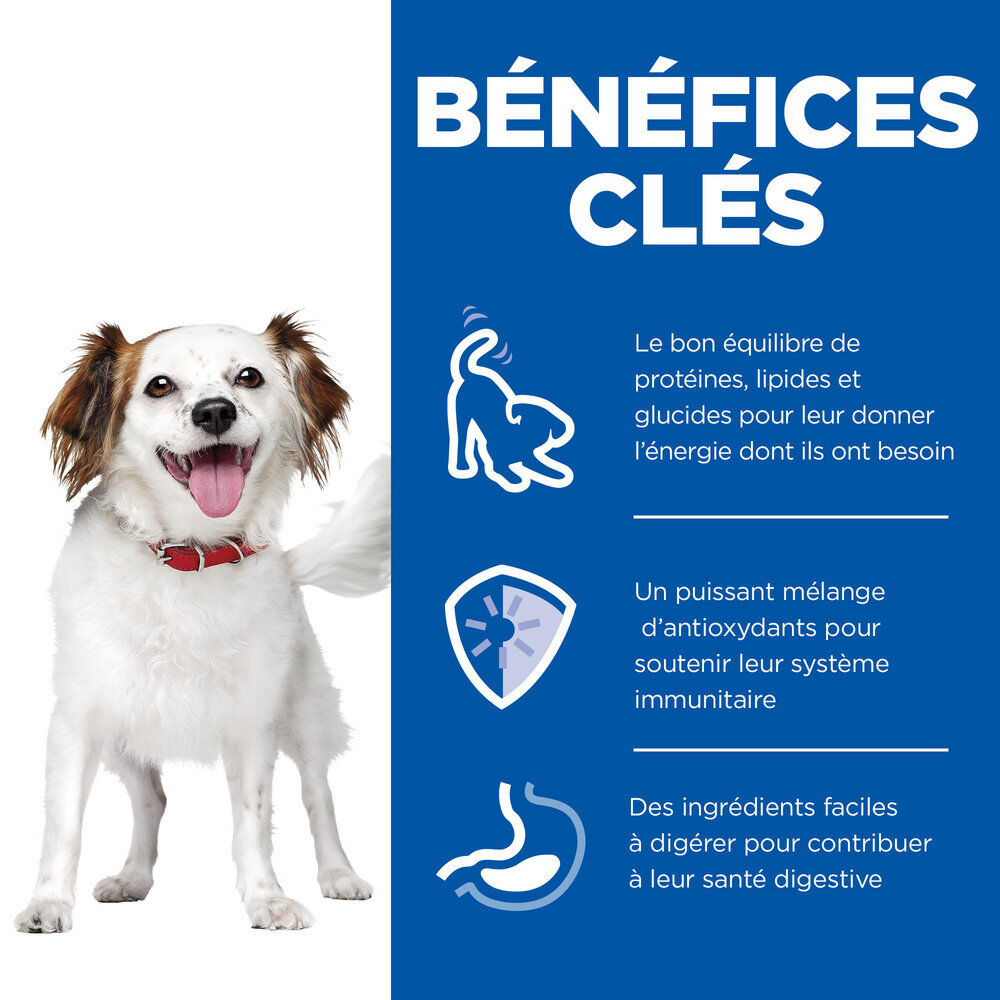 Hill's Science Plan - Adult Small&Mini Mousse Pour Chien Adulte De Petite Race B&oelig;uf  - 200g Image num&eacute;ro 3