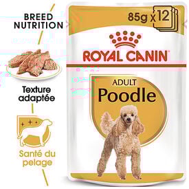 Royal Canin - Pâtée en Mousse POODLE ADULT pour Chiens - 12X85g