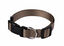 Animalis - Collier Basic Taupe pour Chien - 20mm et 39/60cm Indicateur image num&eacute;ro 1