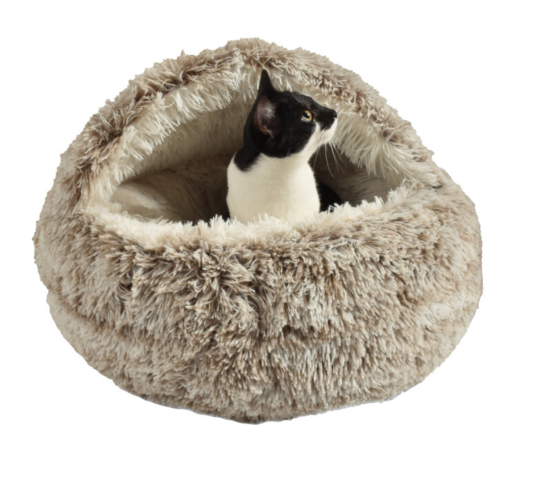 Bobby - Dôme Cachette Bulle Poilu Taupe pour Chat - S Image numéro 1 Bobby - Dôme Cachette Bulle Poilu Taupe pour Chat - S Image numéro 1