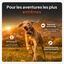 Weenect - Collier GPS XT Chiens - Noir Indicateur image num&eacute;ro 2