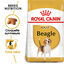 Royal Canin - Croquettes Beagle Adult pour Chien - 12Kg Indicateur image numéro 1
