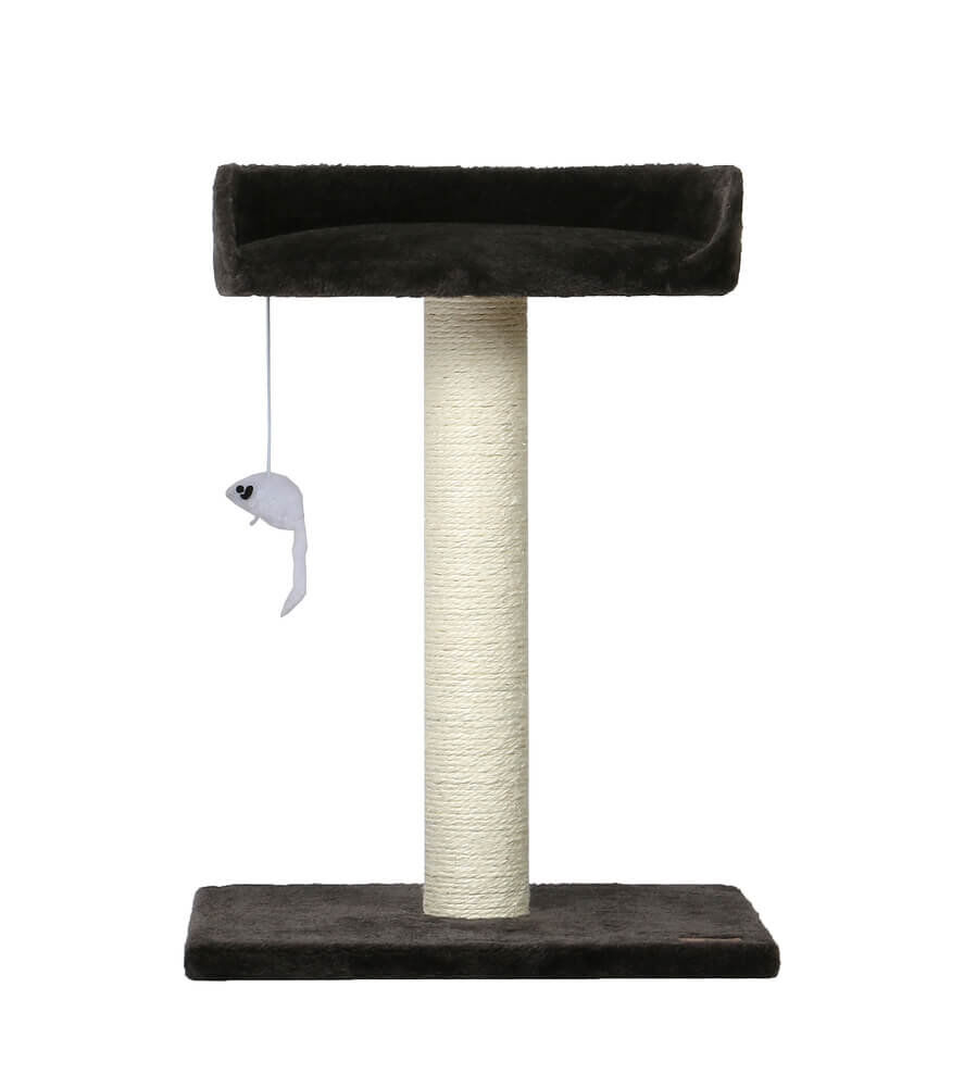 Animalis - Arbre &agrave; Chat Poteau avec Sofa - Noir Image num&eacute;ro 1