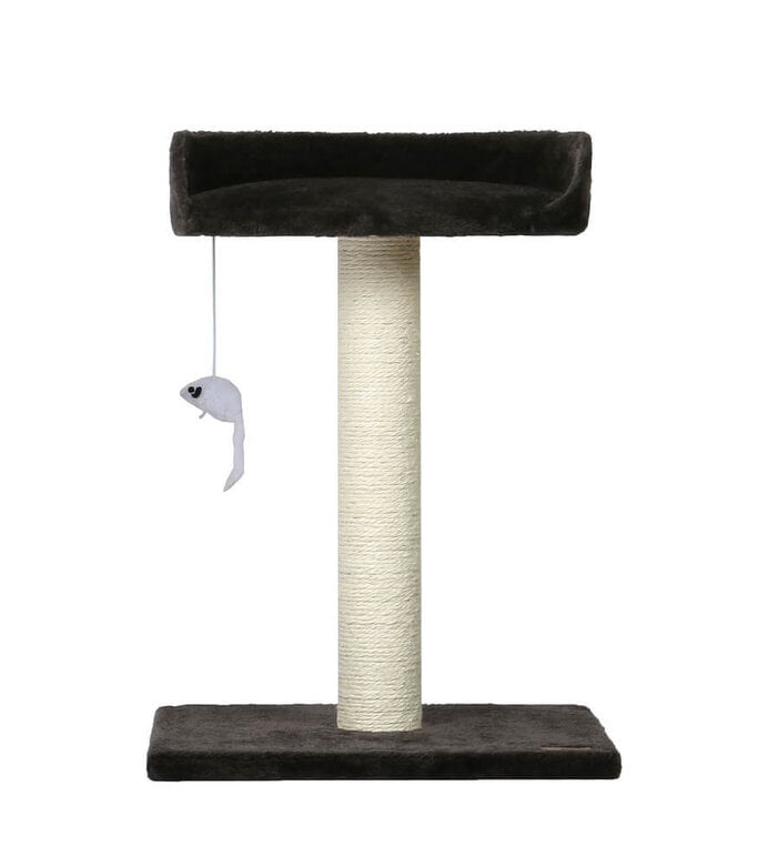 Animalis - Arbre à Chat Poteau avec Sofa - Noir Image numéro 1 Animalis - Arbre à Chat Poteau avec Sofa - Noir Image numéro 1