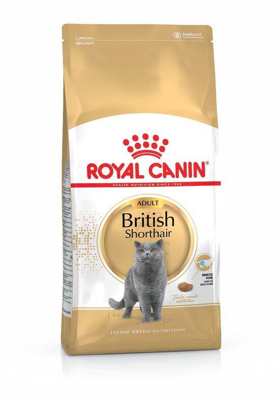 Royal Canin - Croquettes British Shorthair pour Chat Adulte - 2Kg Image numéro 2 Royal Canin - Croquettes British Shorthair pour Chat Adulte - 2Kg Image numéro 2