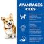Hill's Science Plan - Adult Small & Mini Croquettes Pour Petit Chien Au Poulet  -  1,5kg Indicateur image numéro 3