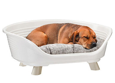 Ferplast - Corbeille Plastique Throne 6 pour Chiens - Blanc