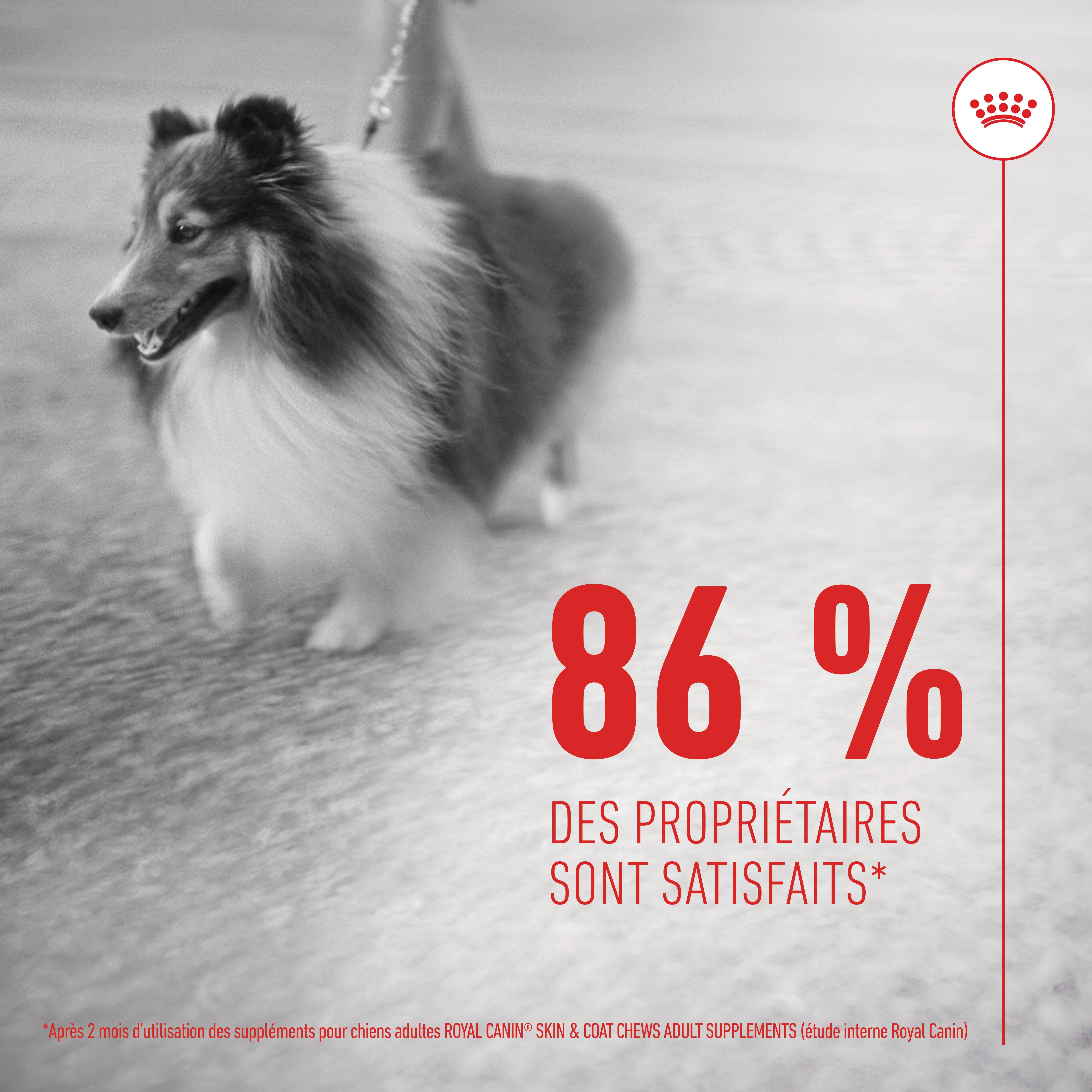 Royal Canin - Aliment Compl&eacute;mentaire Adult Skin & Coat Chews pour Chiens - 240g Image num&eacute;ro 7