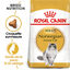 Royal Canin - Croquettes Norwegian Adult pour Chat - 2Kg Indicateur image numéro 1
