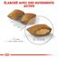 Royal Canin - Croquettes Mini Exigent pour Chien - 3Kg Indicateur image numéro 5