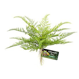 Zoomed - Plante Artificielle Lace Fern pour Terrarium