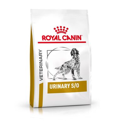 Royal Canin - Croquettes Veterinary Diet Urinary S/O pour Chien - 2Kg