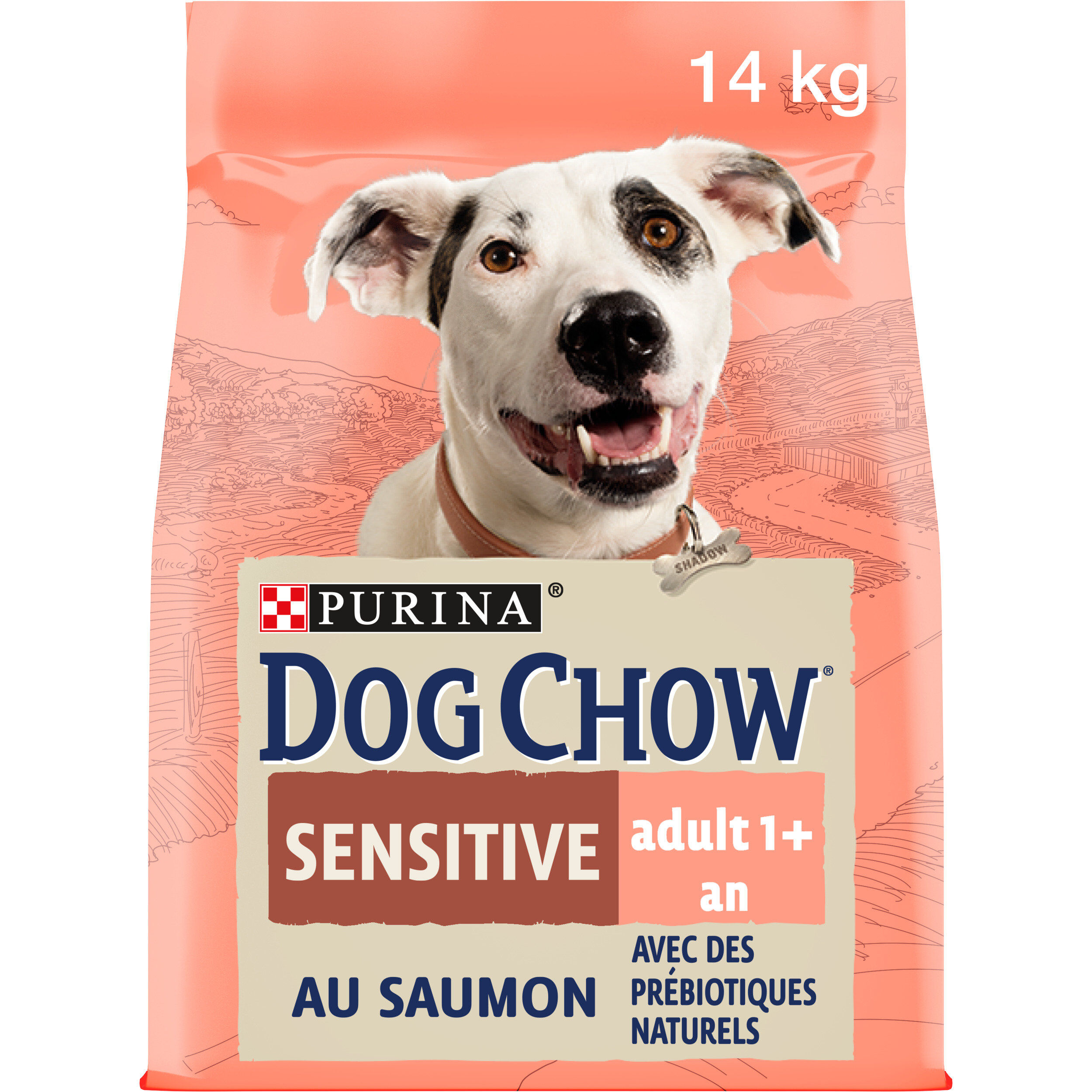 Dog Chow - Croquettes Sensitive au Saumon pour Chien - 14Kg Image num&eacute;ro 2
