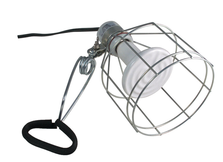 Zoomed - Douille pour ampoule jusqu'à 150W avec cage de protection métallique Image numéro 2 Zoomed - Douille pour ampoule jusqu'à 150W avec cage de protection métallique Image numéro 2