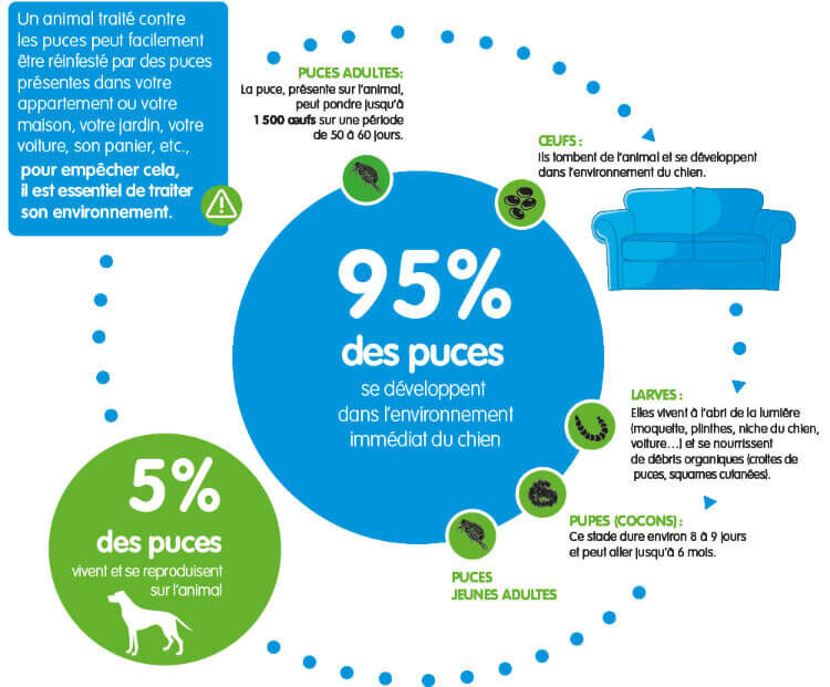Advantix - Antiparasitaire 25 &agrave; 40 Kg pour Grand Chien - 6x4ml Image num&eacute;ro 3