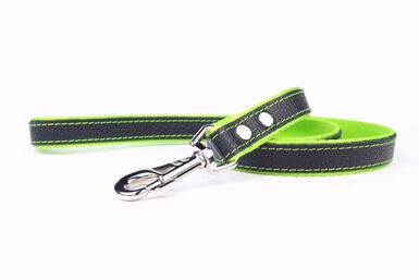Yogipet - Laisse en Cuir avec Nylon 120cm pour Chien - Vert