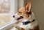 PetSafe - Collier Anti-Aboiement en Spray pour Chien Indicateur image numéro 4