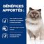 Hill's - Croquettes Prescription Diet R/D Weight Loss pour Chats - 3Kg Indicateur image numéro 3