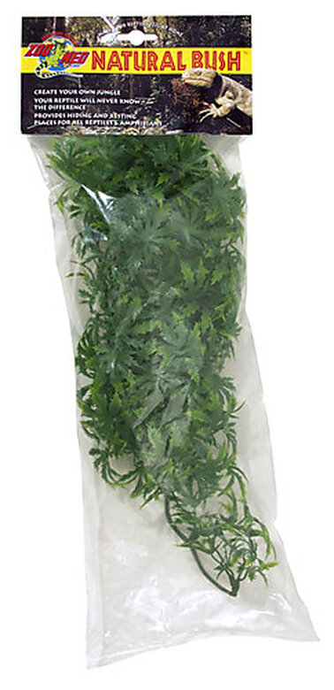 Zoomed - Plante Cannabis pour Terrarium image number null