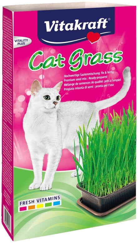 Vitakraft - Herbe à Chat Cat-Gras pour Chats - 120g Image numéro 1 Vitakraft - Herbe à Chat Cat-Gras pour Chats - 120g Image numéro 1