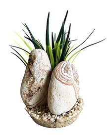 Sydeco - Décoration Plante Artificielle Rainbow Stone pour Aquarium