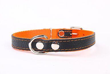 Yogipet - Collier Cuir et Nylon pour Chien - Orange