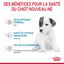 Royal Canin -  BABYDOG MILK LAIT SEVRAGE DU CHIOT DE 0 A 2 MOIS - 400g Indicateur image numéro 4