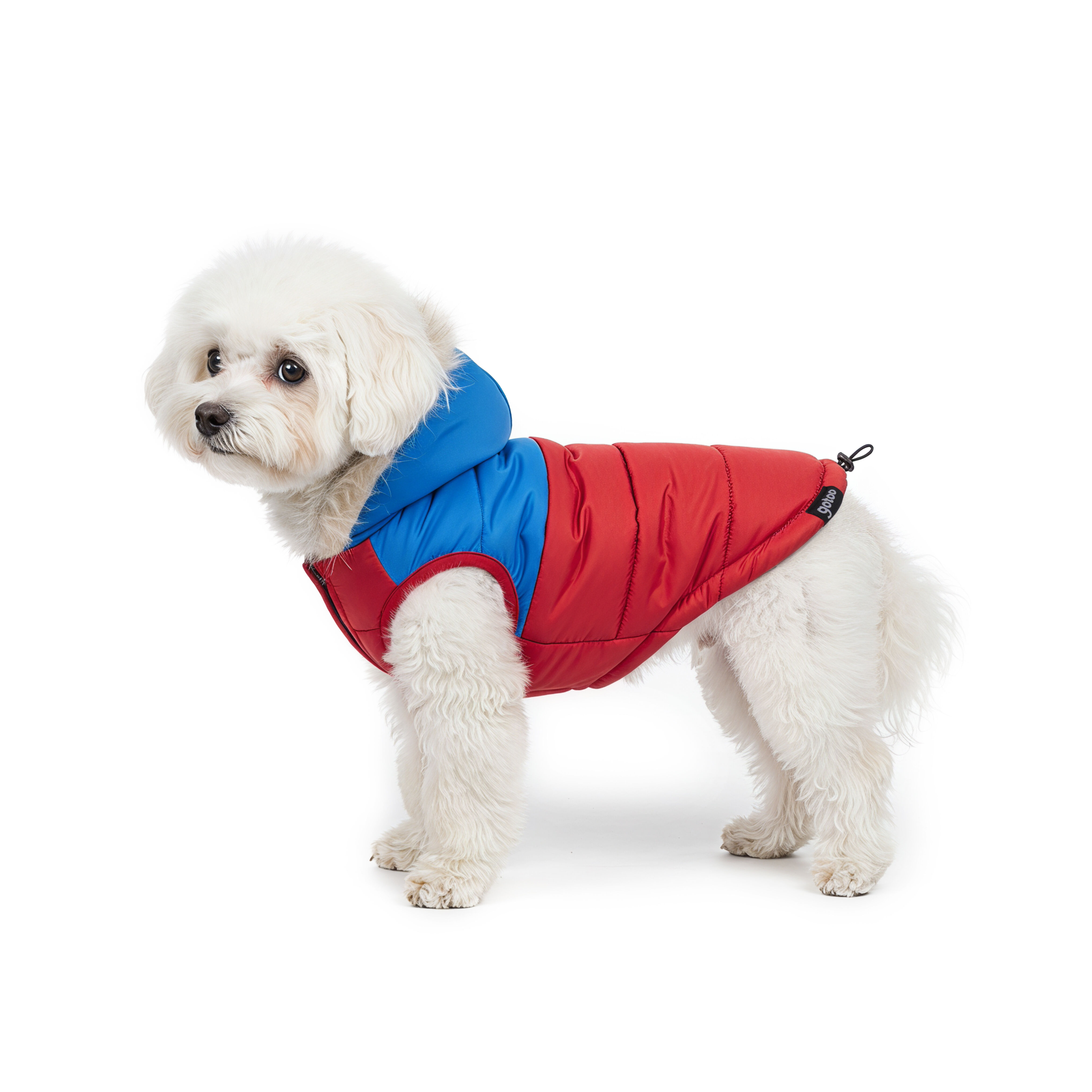 Gotoo - Manteau Imperm&eacute;able Rouge et Bleu pour Chiens - 30cm Image num&eacute;ro 13