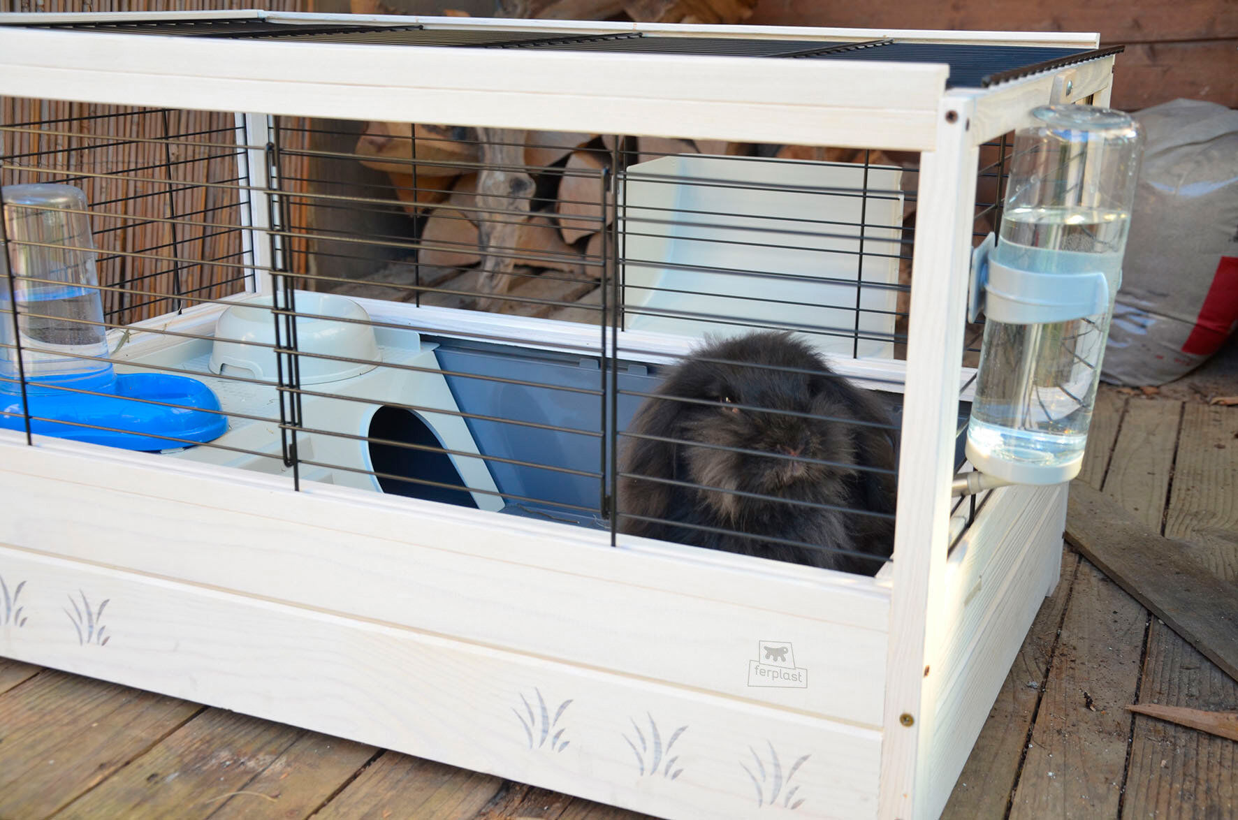 Ferplast - Cage Arena 80 pour Rongeurs Image num&eacute;ro 4