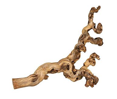 Trixie - Branche Pied de Vigne Naturelle pour Terrarium - XL