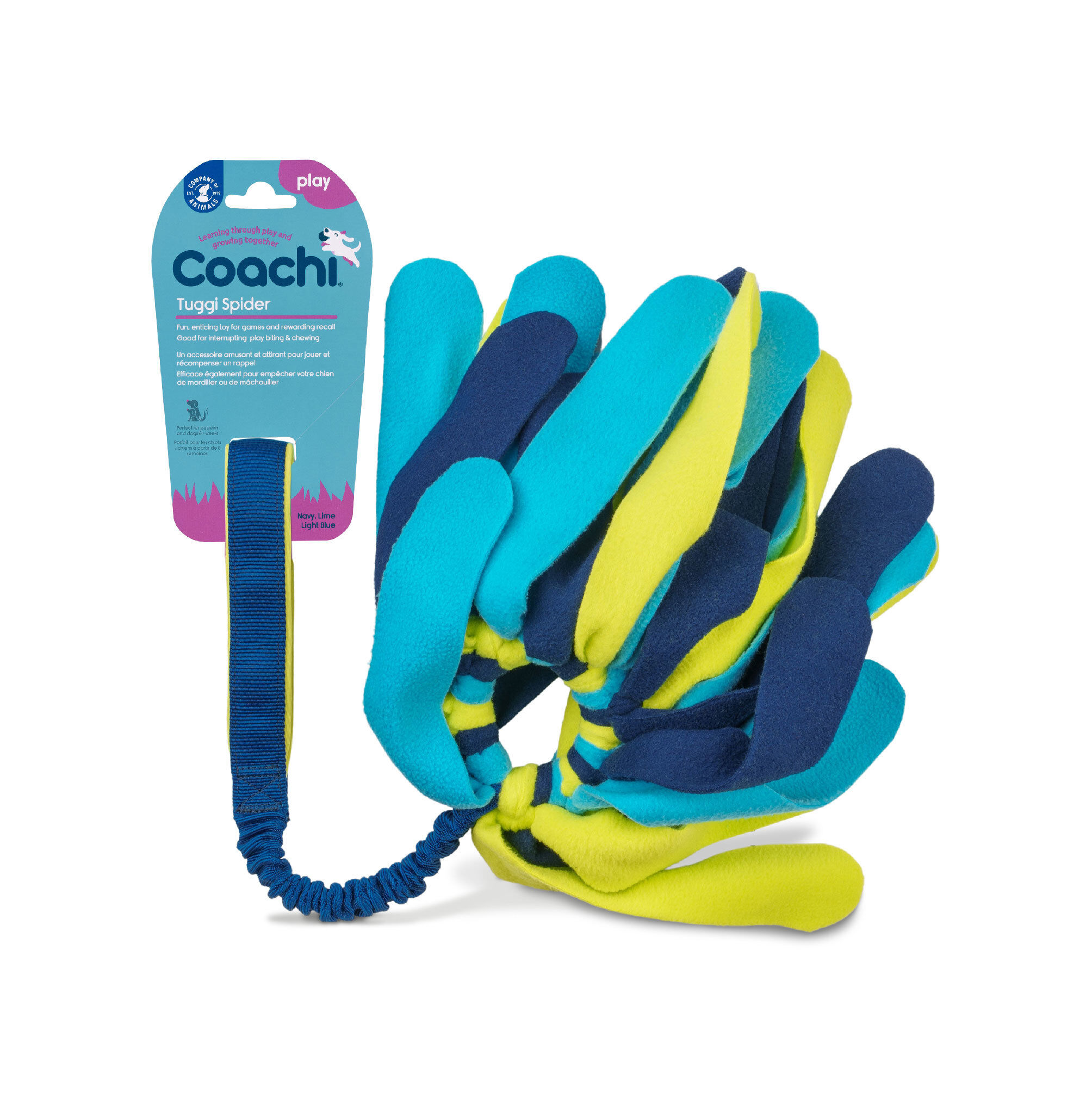 Coachi - Jouet Tuggi Spider pour Chiens - Bleu/Jaune Image num&eacute;ro 1