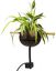 CocoPlant - Filtration Naturelle Coco30 pour Aquarium Indicateur image numéro 3
