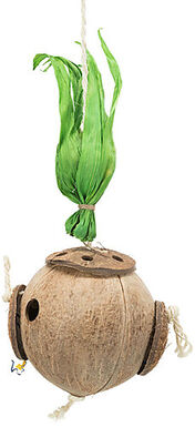 Trixie - Noix de coco sur corde en sisal, 35 cm