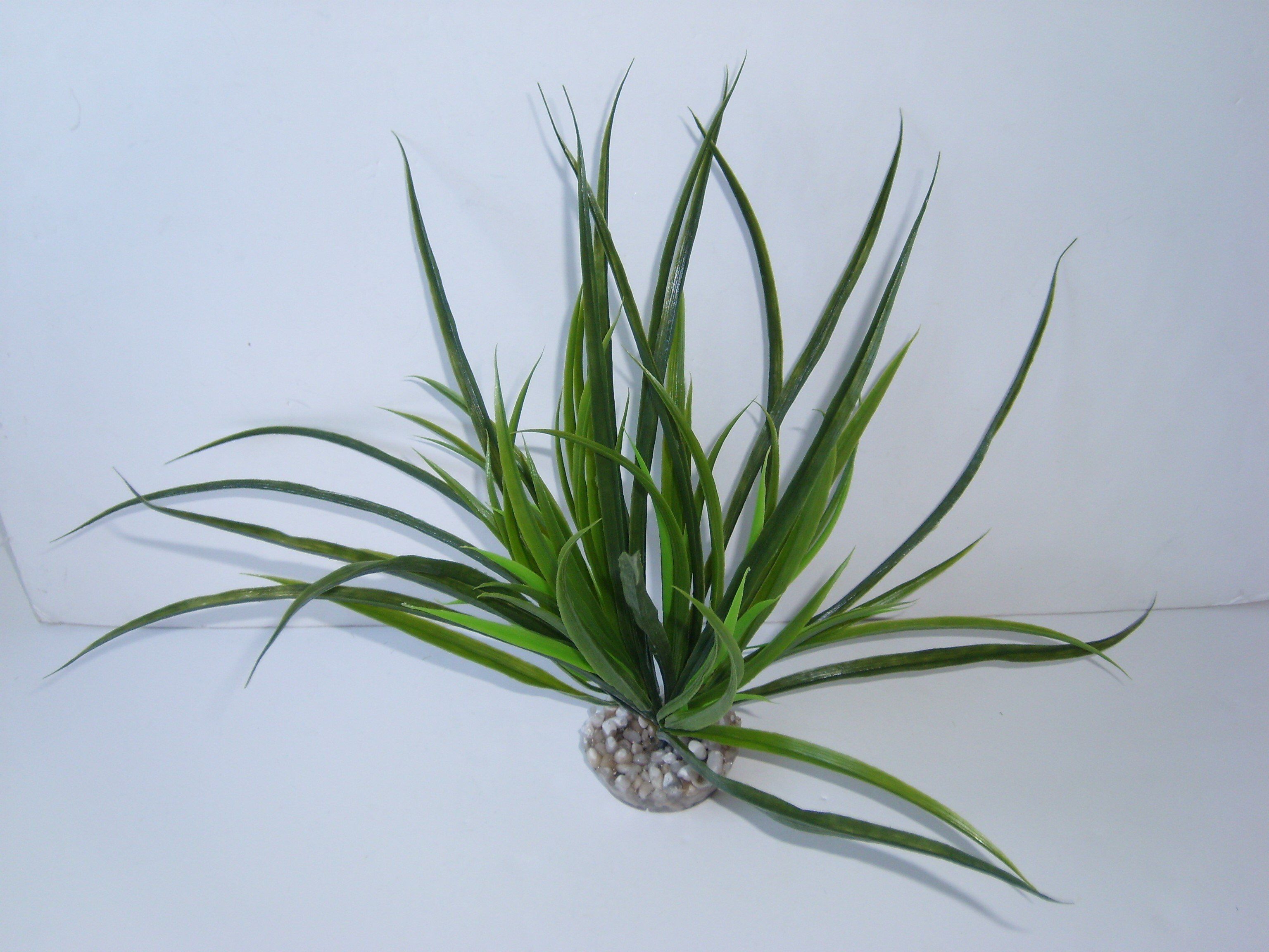 D&eacute;coration Plante en Plastique Acorus Vert Image num&eacute;ro 1