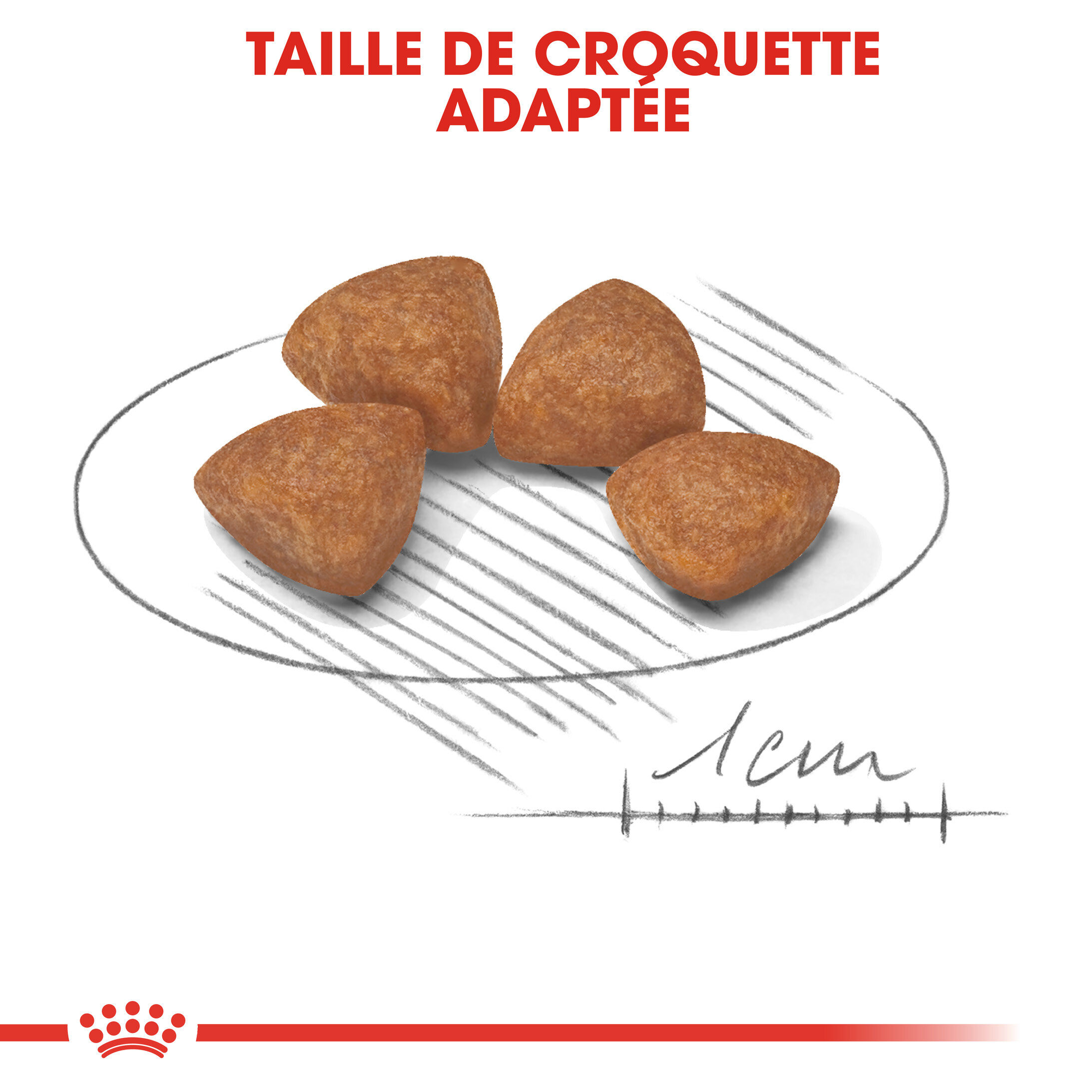 Royal Canin - Croquettes Puppy X-Small pour Chiots de 2 &agrave; 10 Mois - 1,5Kg Image num&eacute;ro 9