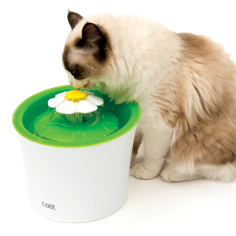 Catit - Fontaine Flower Senses 2.0 pour Chat - 3L Image numéro 2 Catit - Fontaine Flower Senses 2.0 pour Chat - 3L Image numéro 2