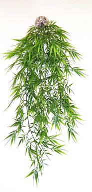 Labeo - Suspension bambou Plante Artificielle Terrarium