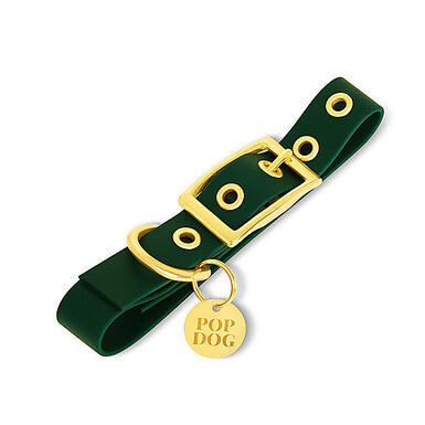 Pop Dog - Collier à Œillet Elégant Vert pour Chien - L