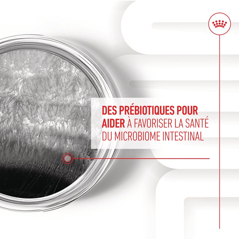 Royal Canin - Aliment Complémentaire Adult Digestion Chews pour Chiens - 160g Image numéro 11 Royal Canin - Aliment Complémentaire Adult Digestion Chews pour Chiens - 160g Image numéro 11