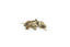 Camon - Friandises Anchois S&eacute;ch&eacute;s pour Chats - 30g Indicateur image num&eacute;ro 2