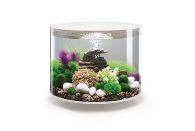 biOrb - Aquarium Tube 35 mcr blanc