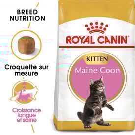 Royal Canin - Croquettes Maine Coon Kitten pour Chaton
