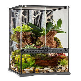 Exo Terra - Natural Paludarium - 30x30x60cm