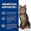 Hill's - Croquettes Prescription Diet Metabolic pour Chats - 8Kg Indicateur image numéro 4