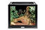 Animalis - Kit Gecko - 50cm Indicateur image numéro 4